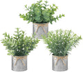 Small Fake Plants, 3 Pack Mini Faux Plants for Farmhouse Home Decor