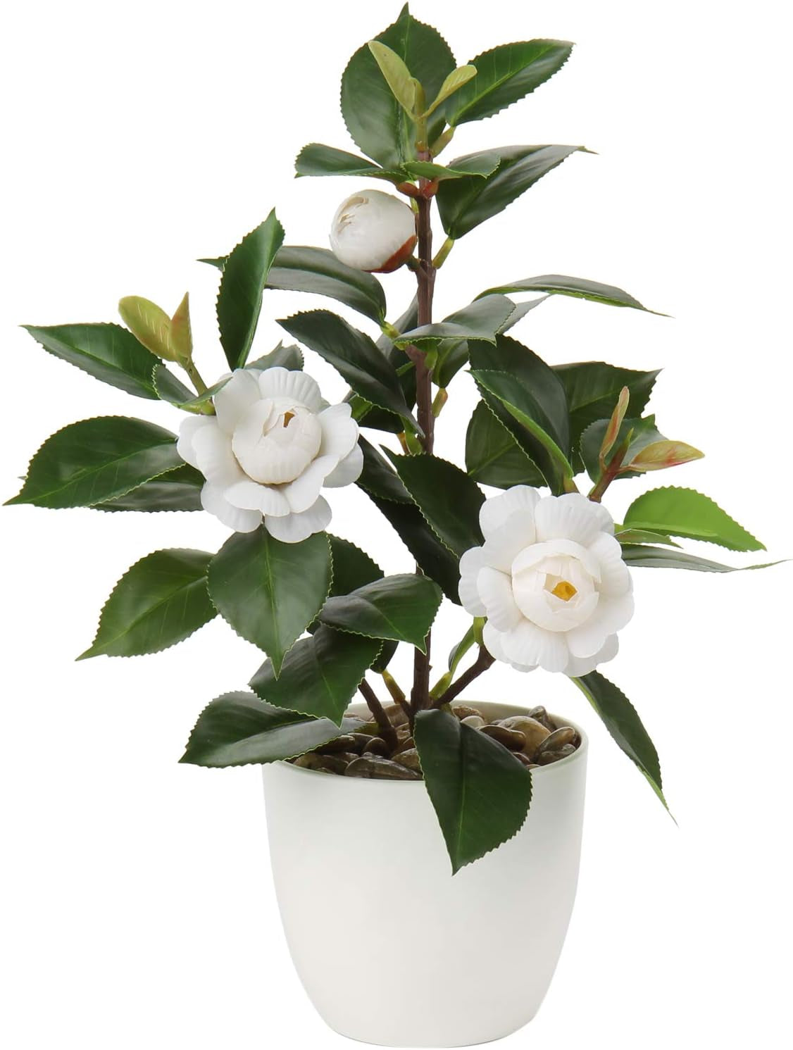 Artificial Plants Mini Camellia Potted Fake Plants Small Faux Plastic Plants Desk Plant Artificial Flowers with Vase for Home Office Desk Kitchen Garden Indoor Decor