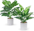 2 Pack 16" Fake Plants Monstera for Desk Shelf Decor