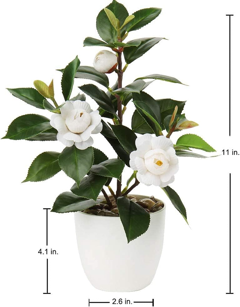 Artificial Plants Mini Camellia Potted Fake Plants Small Faux Plastic Plants Desk Plant Artificial Flowers with Vase for Home Office Desk Kitchen Garden Indoor Decor